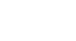 Axie Infinity Logo